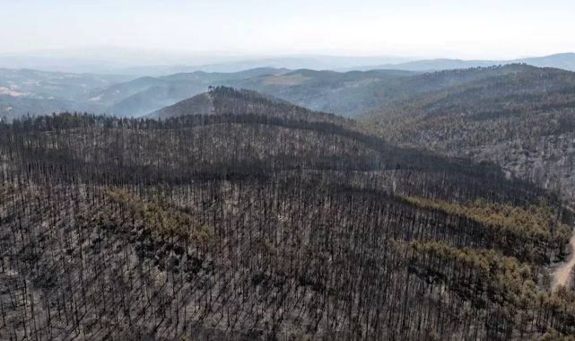 Bursa'da acı tablo! Yangının bıraktığı tahribat havadan görüntülendi
